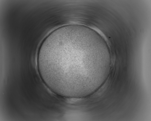 X0000089361294200706291034