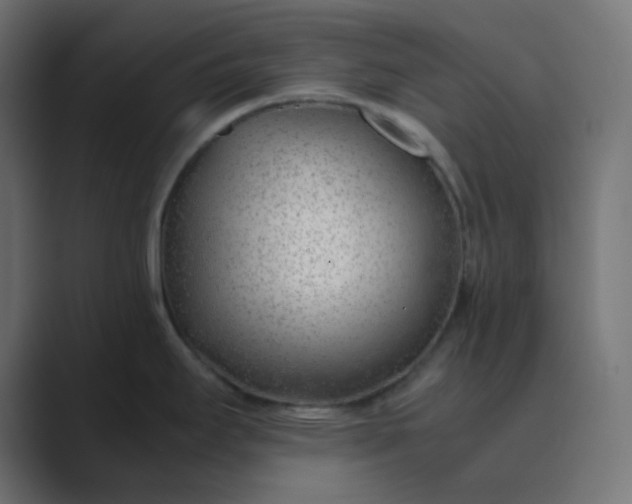 X0000089361295200706291034