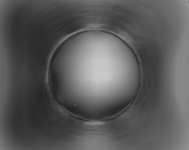 X0000089361296200706291034