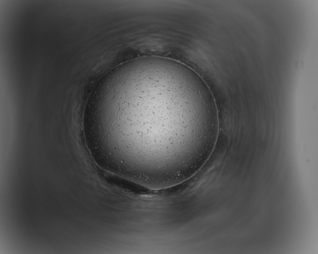 X0000089361297200706291033