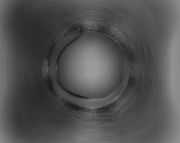 X0000089361298200706291033