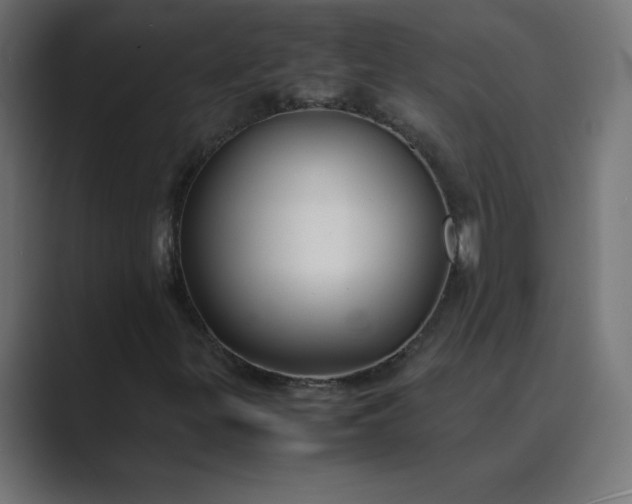 X0000089361299200706291033