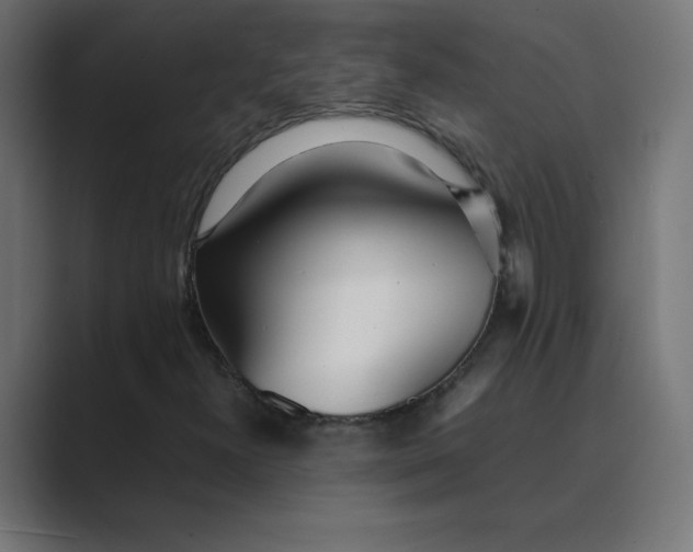 X0000089361300200706291033