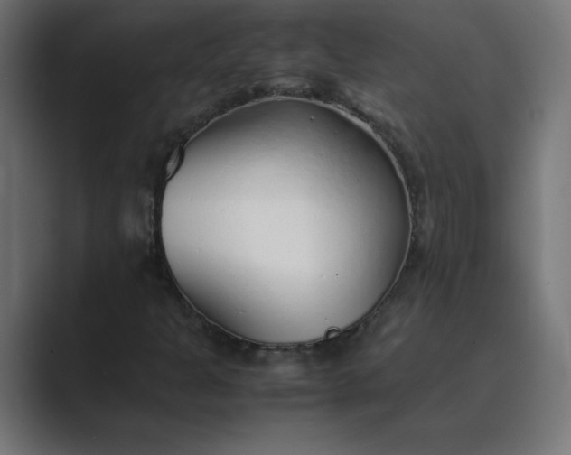 X0000089361301200706291033