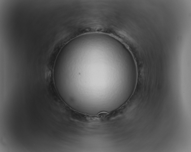 X0000089361302200706291033