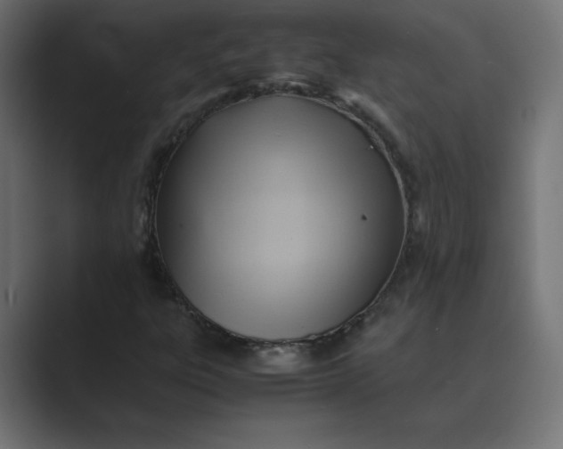 X0000089361303200706291033