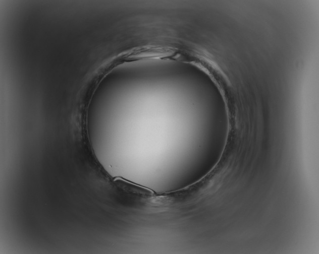 X0000089361304200706291033