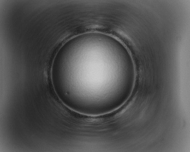 X0000089361305200706291033