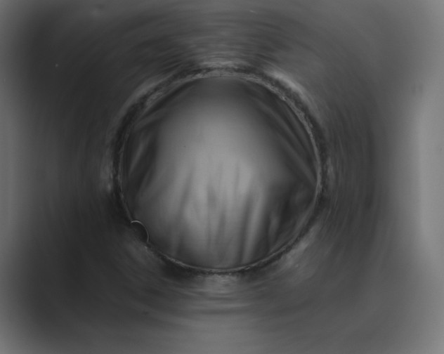 X0000089361306200706291033