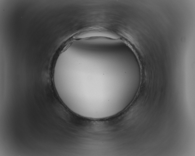 X0000089361308200706291033