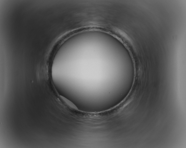 X0000089361310200706291033