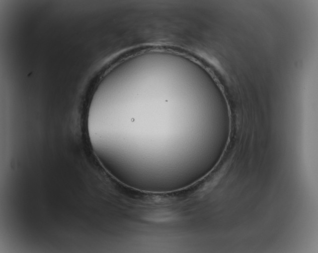 X0000089361311200706291033