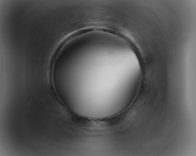 X0000089361312200706291033