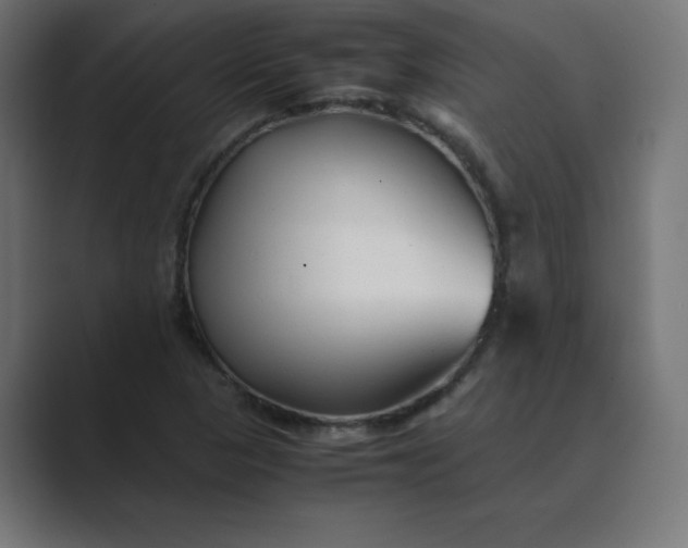 X0000089361313200706291033