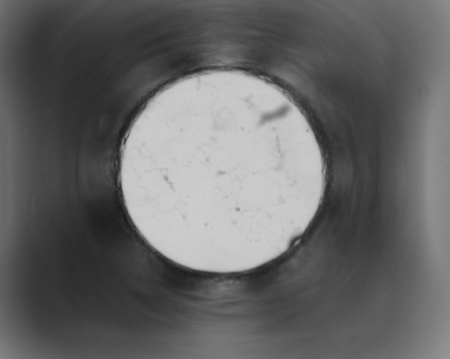 X0000089361314200706291033