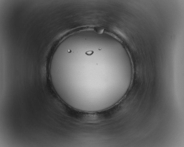 X0000089361315200706291033