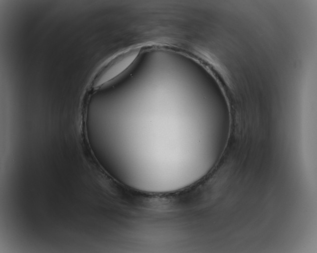 X0000089361316200706291033