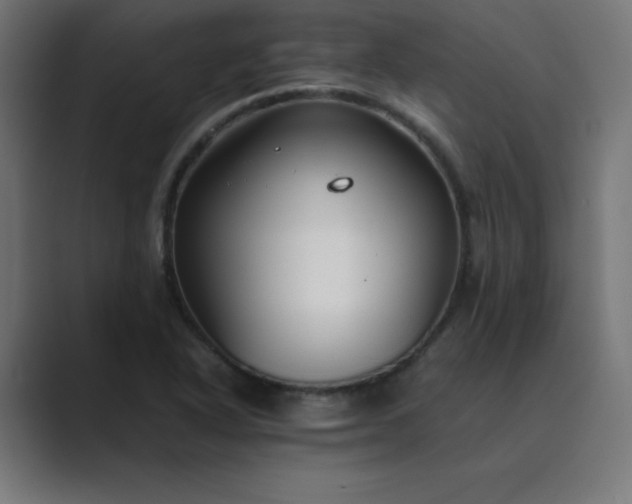 X0000089361318200706291033