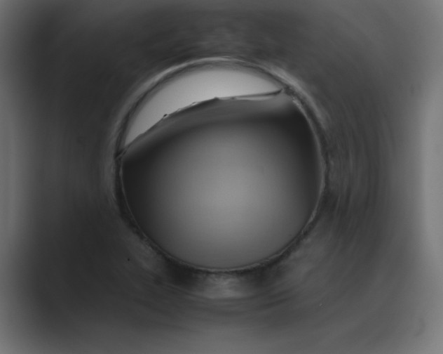 X0000089361319200706291033