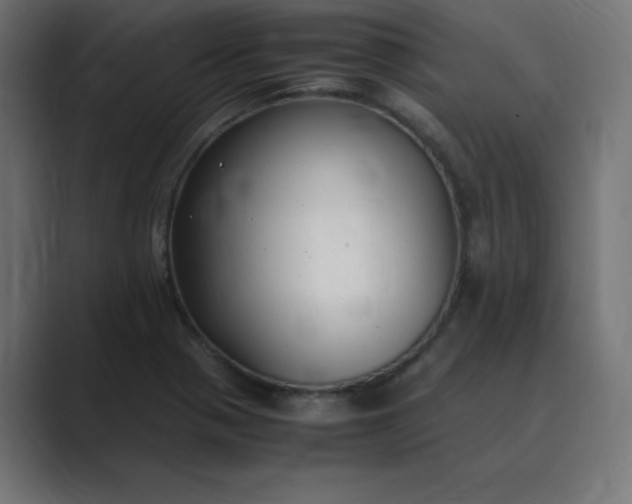 X0000089361321200706291033