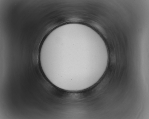 X0000089361322200706291033