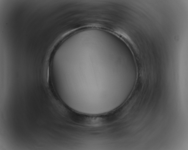 X0000089361323200706291033