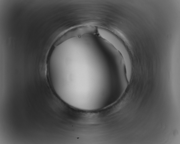 X0000089361324200706291033