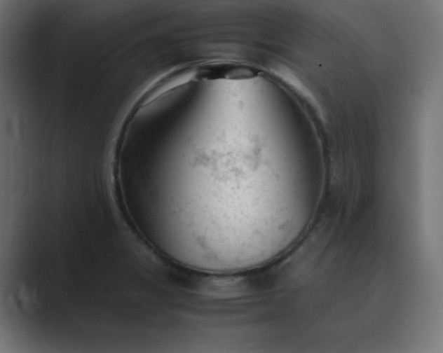 X0000089361325200706291033