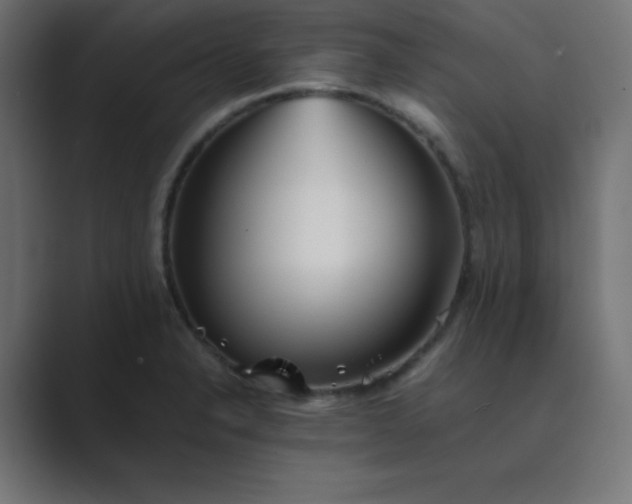 X0000089361326200706291034