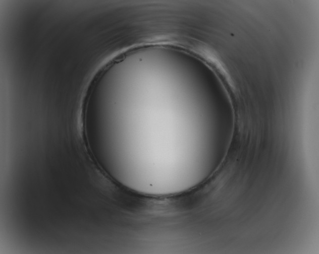 X0000089361328200706291034