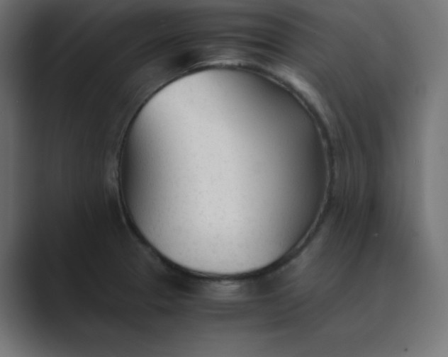 X0000089361329200706291034