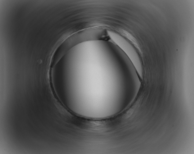 X0000089361330200706291034