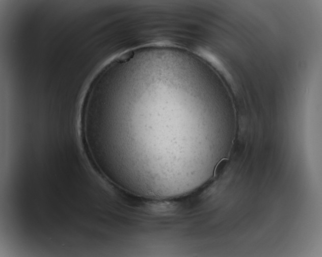 X0000089361331200706291034