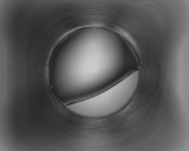 X0000089361332200706291034