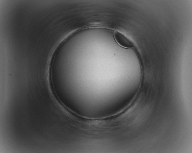 X0000089361333200706291034