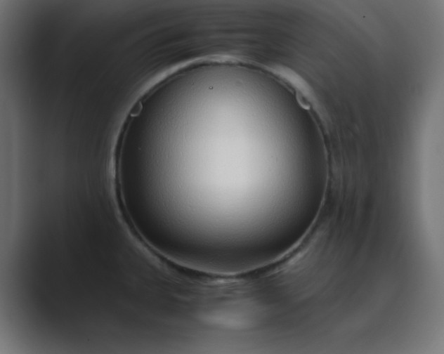 X0000089361335200706291034