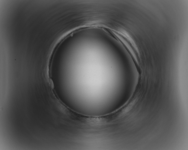 X0000089361336200706291034