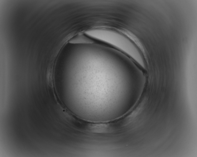 X0000089361337200706291034