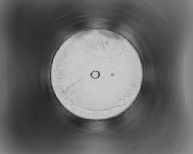 X0000089361338200706291034