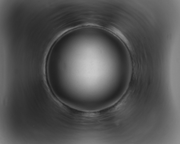 X0000089361339200706291034