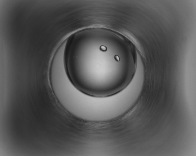 X0000089361340200706291034