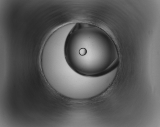 X0000089361344200706291034