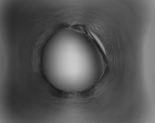 X0000089361345200706291033