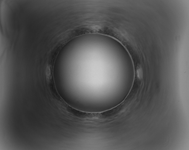 X0000089361347200706291033