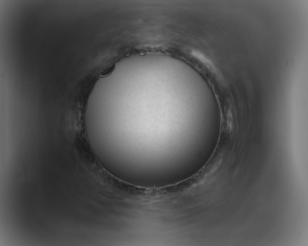 X0000089361350200706291033