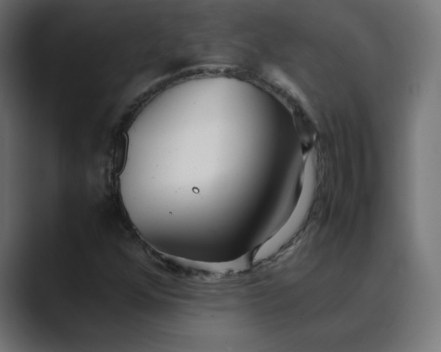 X0000089361352200706291033