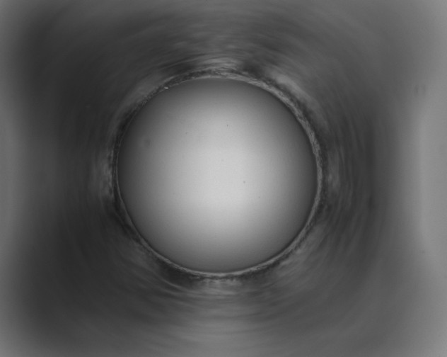 X0000089361354200706291033