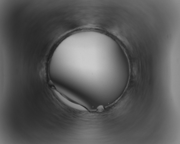 X0000089361356200706291033