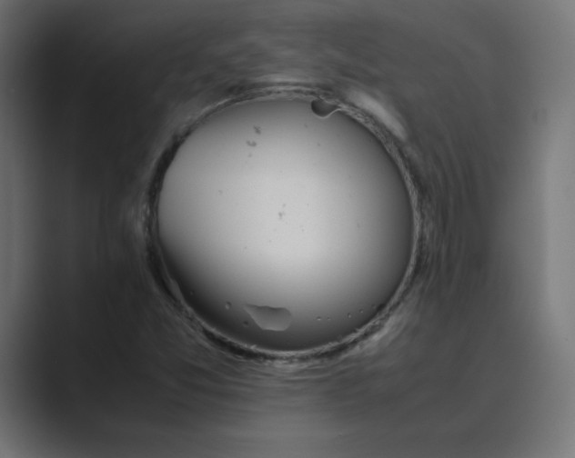 X0000089361357200706291033