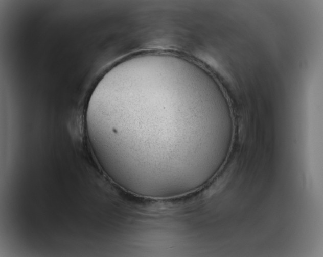 X0000089361358200706291033